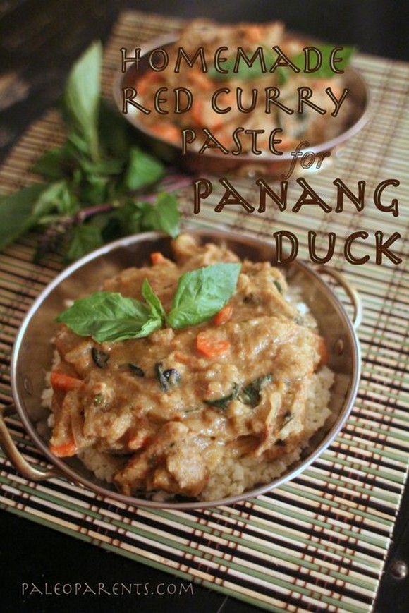 Panang Duck with Homemade Red Curry Paste recipe by Paleo Parents
