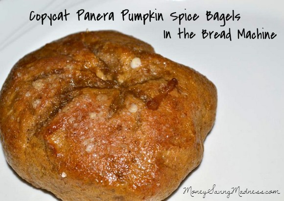Copycat Panera Bread Pumpkin Spice Bagel recipe photo
