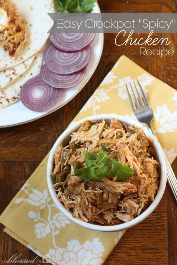 Easy 'Spicy' Crockpot Chicken recipe photo