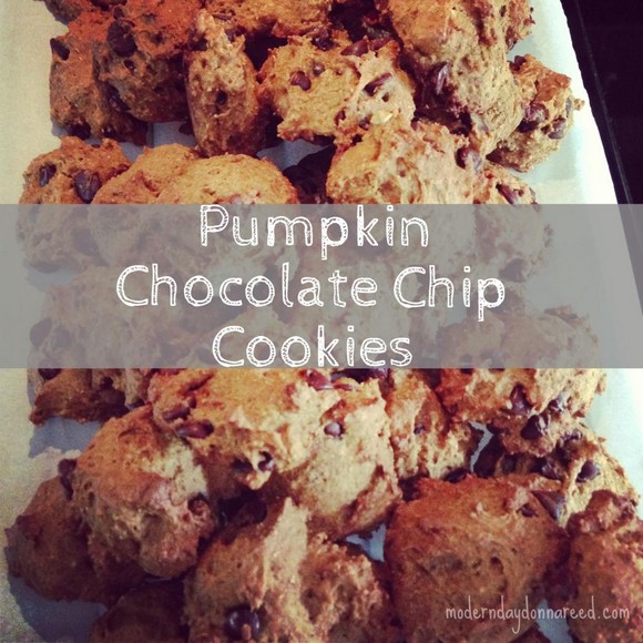 Pumpkin Chocolate Chip Cookies recipe photo