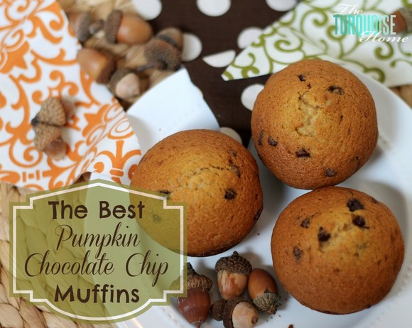 Pumpkin Chocolate Chip Muffins recipe photo