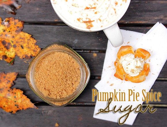 Pumpkin Pie Spice Sugar recipe photo