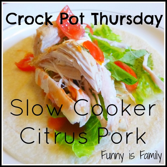 Slow Cooker Citrus Pork recipe photo