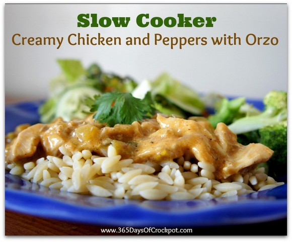 Slow Cooker Creamy Chicken and Peppers with Orzo recipe photo
