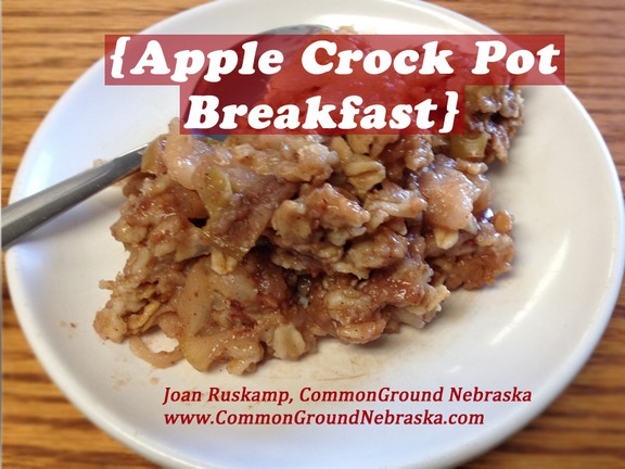 Apple Crock Pot Breakfast recipe photo