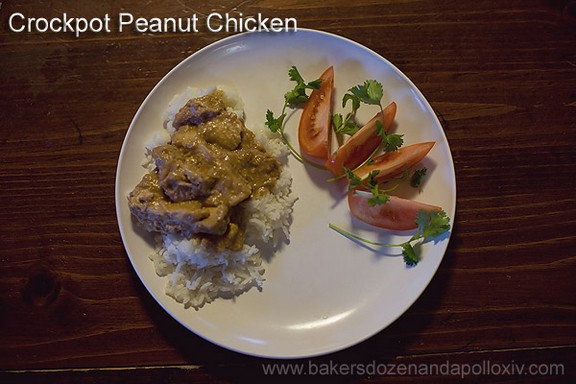 Crockpot Peanut Chicken recipe photo