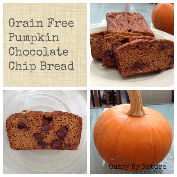 Grain Free, Dairy Free, Nut Free Pumpkin Chocolate Chip Bread recipe photo