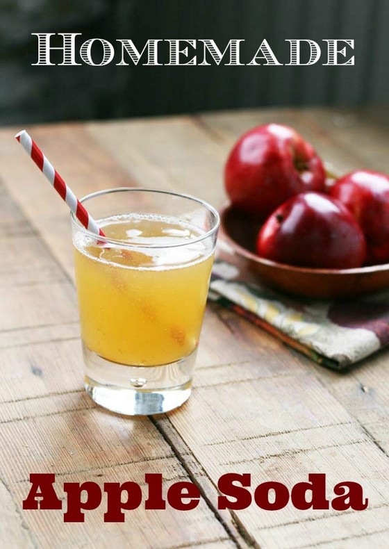 Homemade Apple Soda recipe photo