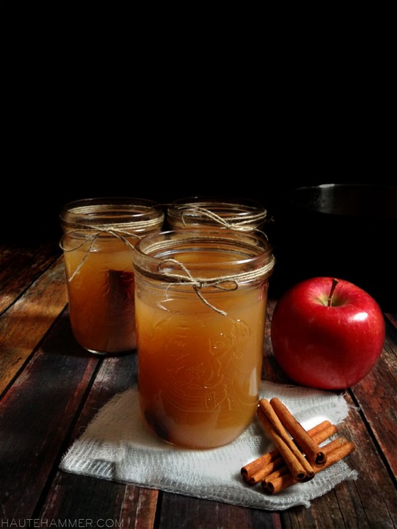 Mulled Apple Cider recipe photo