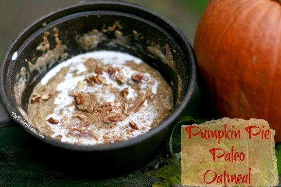 Pumpkin Pie Paleo Oatmeal recipe photo