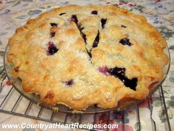 Country Blueberry Pie recipe photo