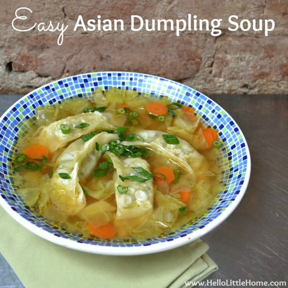 Easy Asian Dumpling Soup recipe photo