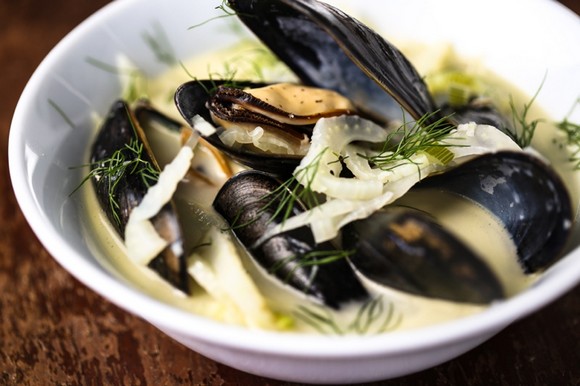 Mussel and Fennel Soup recipe photo