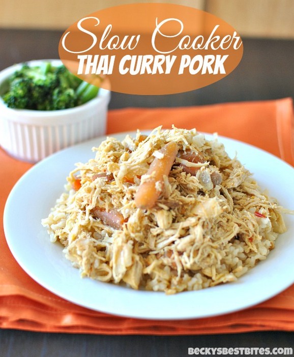 Slow Cooker Thai Curry Pork recipe photo