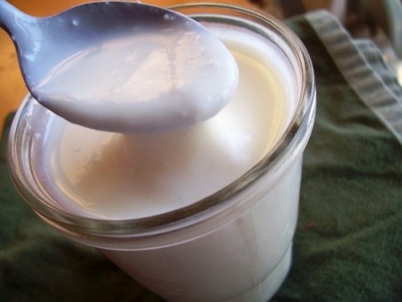 Crockpot Yogurt recipe photo