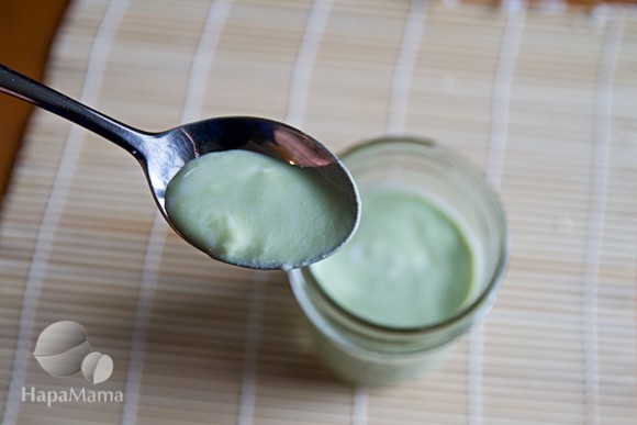 Homemade Matcha Green Tea Yogurt