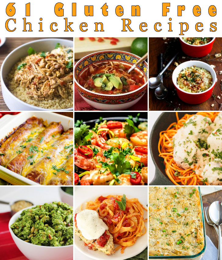 61 gluten free chicken recipes