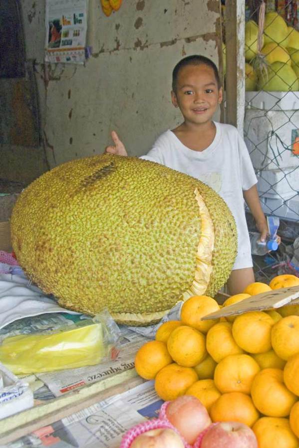 Top 15 exotic fruits - #3 Jackfruit