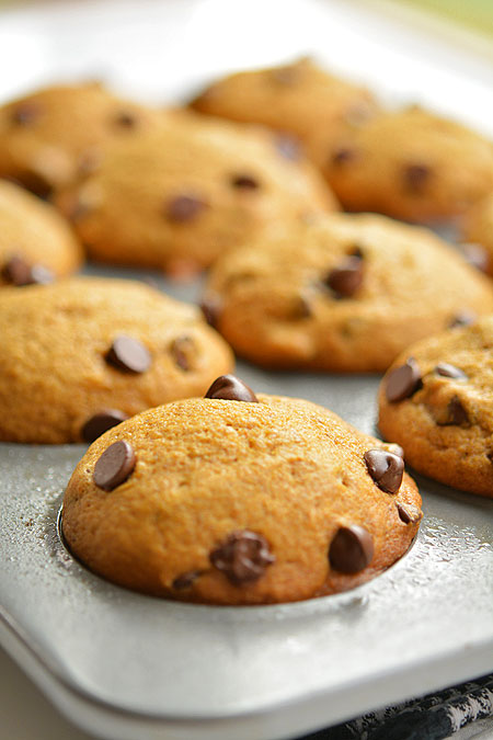 http://onelittleproject.com/chocolate-chip-pumpkin-muffins/