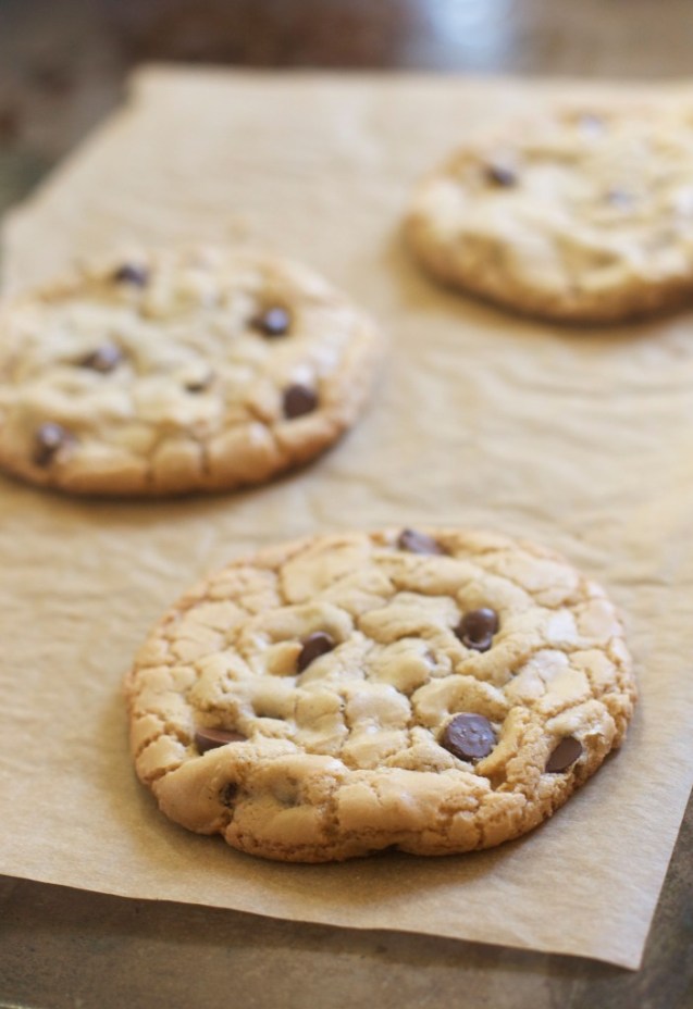 http://www.the-baker-chick.com/2013/05/17/perfect-chocolate-chip-cookies-for-two/