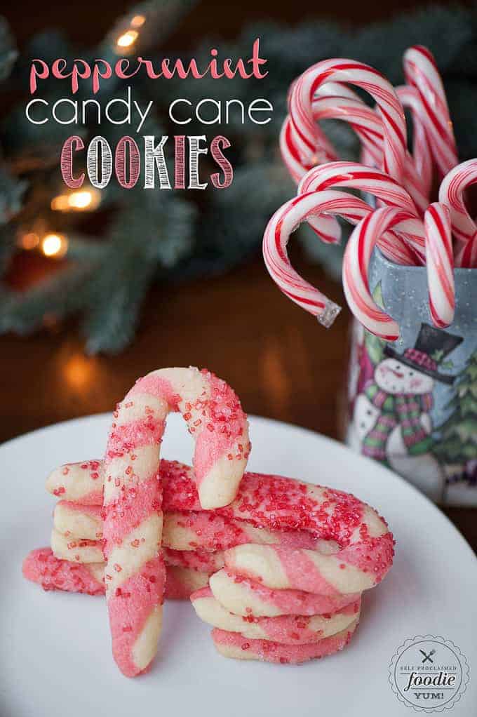 25+ Best Christmas Cookie Recipes of 2021